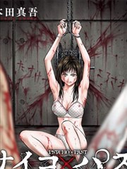 设定集忍法图鉴封面